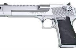 Magnum Research Desert Eagle 44 Magnum Brushed Chrome Pistol